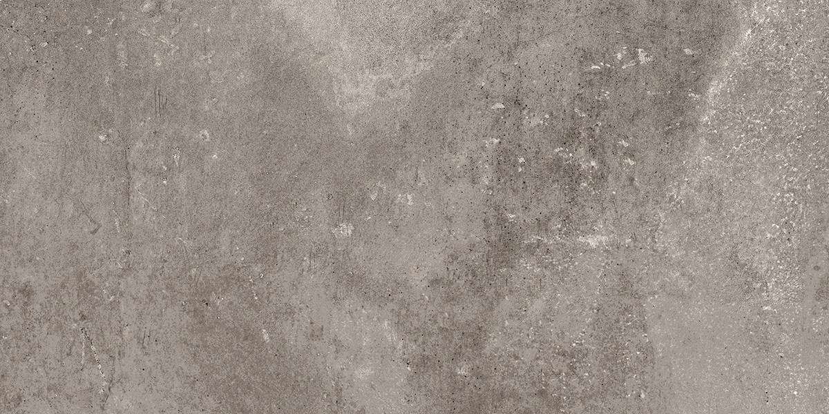 EE03 Seed Grey 306x609 неполированный серый