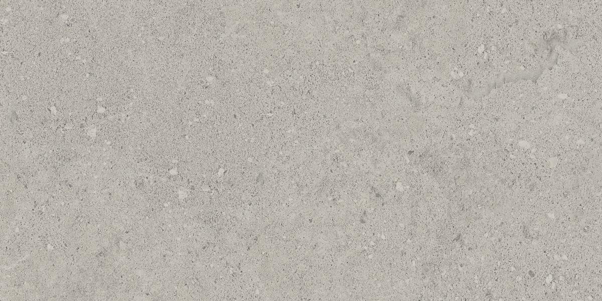 NP01 Newport Light Grey 306x609 неполированный серый