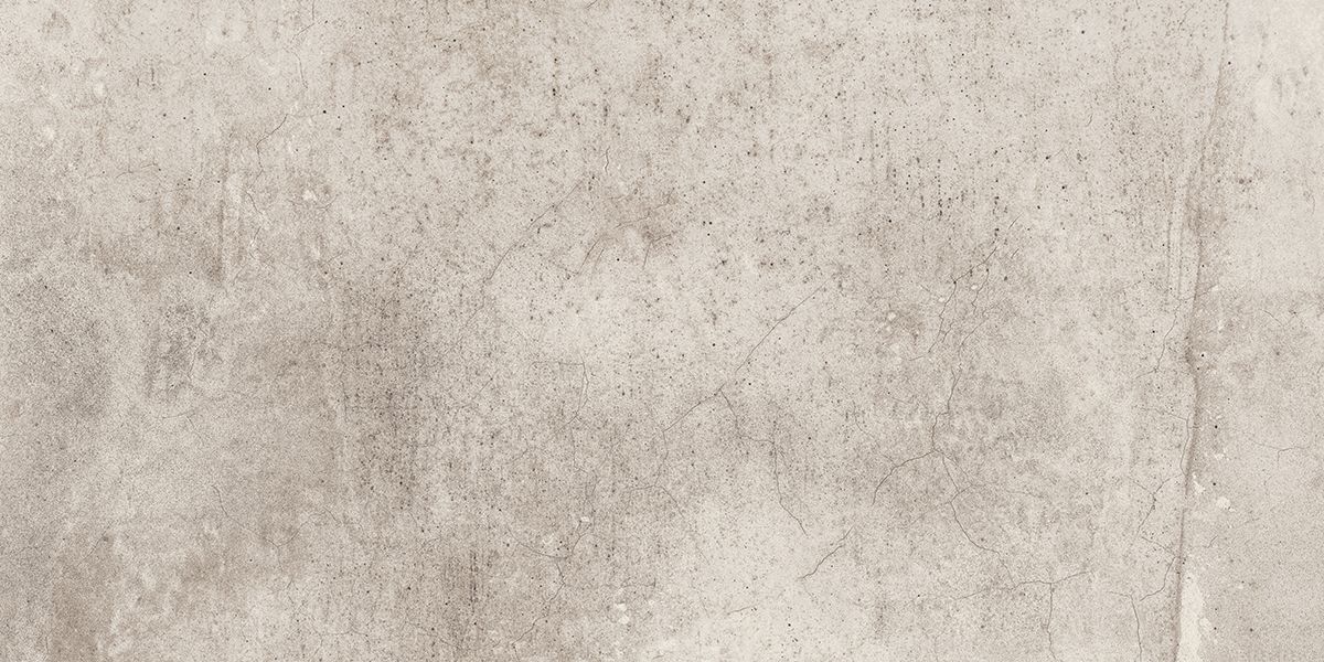 EE01 Seed Light Grey 306x609 неполированный серый